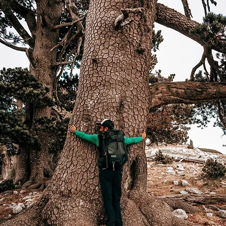Hotel San Raffaele Restaurant & Castelluccio Superiore