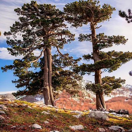 Hotel San Raffaele Restaurant & 3*