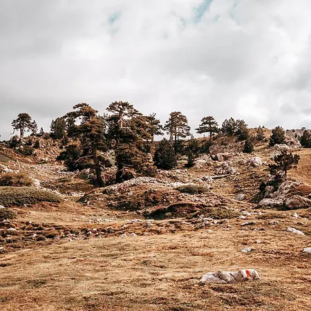 Hotel San Raffaele Restaurant &