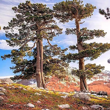 San Raffaele Restaurant & Castelluccio Superiore