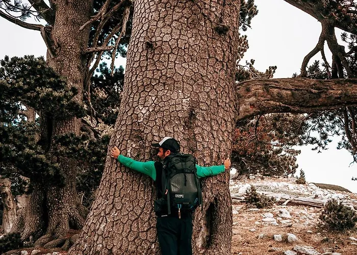 Отель San Raffaele Restaurant & Кастеллуччо-Супериоре