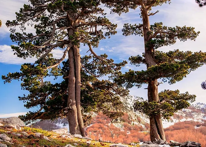 Отель San Raffaele Restaurant & 3*