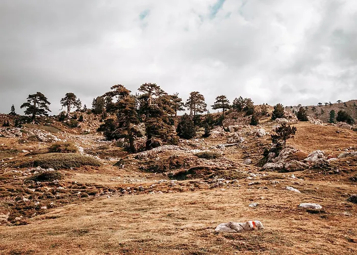 Отель San Raffaele Restaurant &